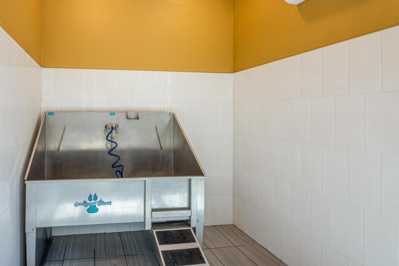 Luxe 3B/2B Getaway - Pool, Gym, Parking, Pet Wash Appartement Leander Buitenkant foto